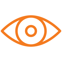 Vision